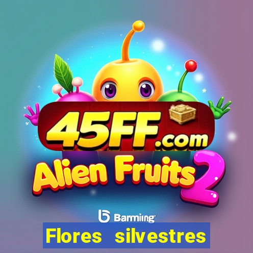 Flores silvestres brasileiras 25